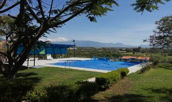 Foto de inmueble en Terreno en Venta en Llano de San Diego, Ixtapan de la Sal., Col. Llano de San Diego C.P. 51917, Ixtapan de la Sal