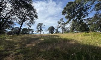 Foto de inmueble en LA ANGORA, Col. Llano de Zacapexco C.P. 54330, Villa del Carbón