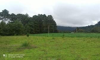 Foto de inmueble en , Col. Los Saúcos C.P. 51200, Valle de Bravo