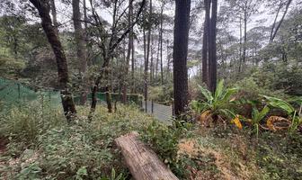 Foto de inmueble en Cardo Santo 1 #1, Col. Mesa de Jaimes C.P. 51229, Valle de Bravo