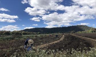 Foto de inmueble en Camino sin nombre, Col. Mesas de Dolores C.P. 51246, Valle de Bravo