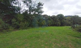 Foto de inmueble en Terreno Para Desarrollar en Valle de Bravo, 4 Hectáreas, Col. Mesas de Dolores C.P. 51246, Valle de Bravo