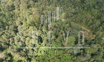 Foto de inmueble en Terreno de 45 Hectáreas en Mesa de Dolores, Valle de Bravo., Col. Mesas de Dolores C.P. 51246, Valle de Bravo