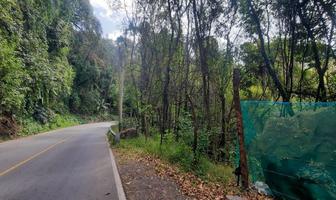Foto de inmueble en Carretera Valle Toluca, Col. Monte Alto C.P. 51229, Valle de Bravo
