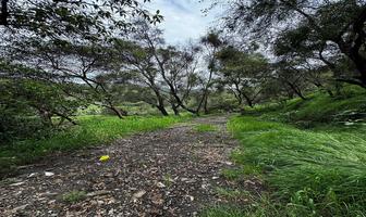 Foto de inmueble en Acueducto Lerma, Col. Paraje Trejo (El Chaparral) C.P. 52793, Huixquilucan