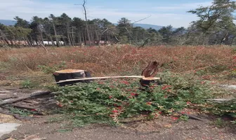 Foto de inmueble en Camino al laurel  #108, Col. Piedra Grande C.P. 52799, Huixquilucan
