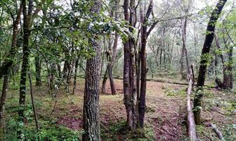 Foto de inmueble en , Col. Pinal del Marquesado C.P. 51139, Otzoloapan