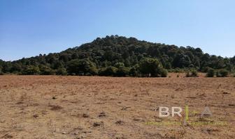 Foto de inmueble en , Col. Pinar de Osorios C.P. 51238, Valle de Bravo