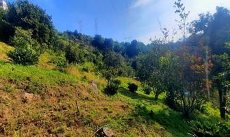 Foto de inmueble en Carretera Valle Amanalco, Col. Pipioltepec C.P. 51209, Valle de Bravo