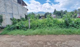 Foto de inmueble en Pipiol, Col. Pipioltepec C.P. 51209, Valle de Bravo