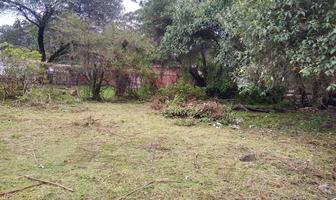 Foto de inmueble en , Col. Popo Park C.P. 56983, Atlautla
