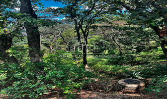 Foto de inmueble en , Col. Rancho San Juan C.P. 52938, Atizapán de Zaragoza