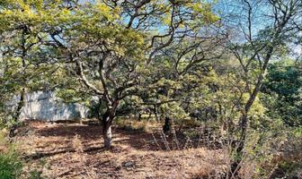 Foto de inmueble en Guanabanos, Col. Rancho San Juan C.P. 52938, Atizapán de Zaragoza
