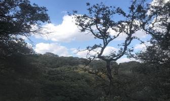 Foto de inmueble en Paseo de los Guanabanos, Col. Rancho San Juan C.P. 52938, Atizapán de Zaragoza
