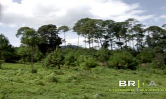 Foto de inmueble en Cuadrilla De Dolores, Col. Rincón Villa del Valle C.P. 51200, Valle de Bravo