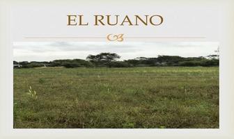 Foto de inmueble en , Col. Ruano C.P. 54223, Polotitlán