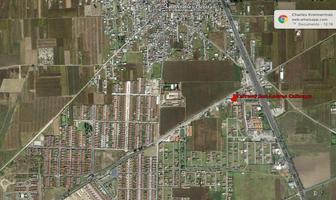 Foto de inmueble en Terreno en Venta, San Andres Ocotlán, Estado de México, Col. San Andrés Ocotlán C.P. 52220, Calimaya