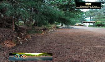 Foto de inmueble en Monte alto, Col. San Antonio C.P. 51200, Valle de Bravo