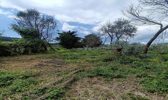 Foto de inmueble en Amanalco, Col. San Bartolo C.P. 51260, Amanalco