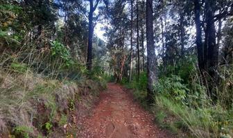 Foto de inmueble en , Col. San Gabriel Ixtla C.P. 51219, Valle de Bravo