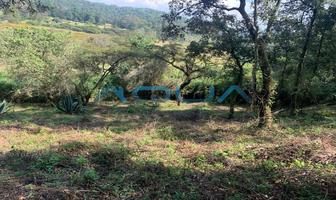 Foto de inmueble en CAMINO A ATEZCAPAN, Col. San Juan Atezcapan C.P. 51230, Valle de Bravo