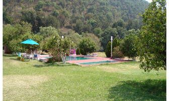 Foto de inmueble en Violetas, Col. San Juan Atezcapan C.P. 51230, Valle de Bravo