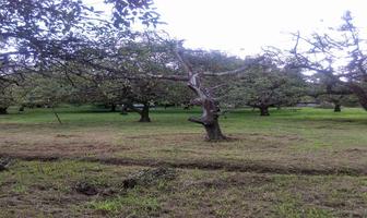 Foto de inmueble en SAN Juan, Col. San Juan C.P. 52440, Malinalco
