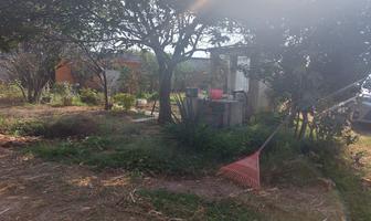 Foto de inmueble en Av. Reforma, 56704 San Lorenzo Tlalmimilolpan, Méx., México, Col. San Lorenzo Tlalmiminolpan C.P. 56704, Tlalmanalco