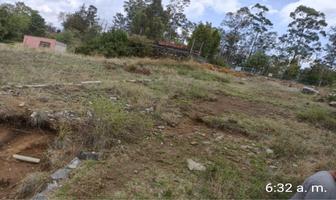 Foto de inmueble en Cabaña, Col. San Martín C.P. 54600, Tepotzotlán
