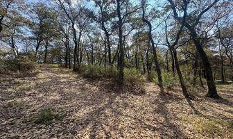 Foto de inmueble en San Martín Cachihuapan, Col. San Martín Cachihuapan C.P. 54333, Villa del Carbón