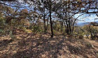 Foto de inmueble en , Col. San Martín Cachihuapan C.P. 54333, Villa del Carbón