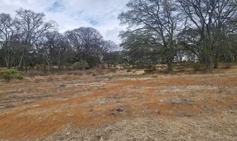 Foto de inmueble en , Col. San Martín Cachihuapan C.P. 54333, Villa del Carbón