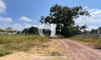 Foto de inmueble en Carretera México-Texcoco, Col. San Miguel Coatlinchán C.P. 56250, Texcoco