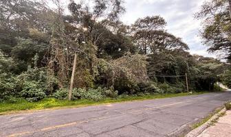 Foto de inmueble en supermanzana, Col. San Miguel Tecpan C.P. 54571, Jilotzingo
