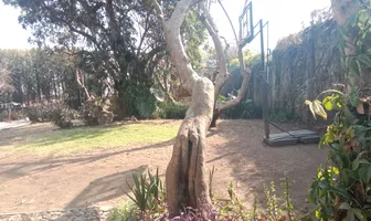 Foto de inmueble en Miguelina Negrete #S/N, Col. San Pedro C.P. 52440, Malinalco