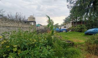 Foto de inmueble en Terreno en Venta, San Salvador Tizatlalli, Metepec, Edo. de México, Col. San Salvador Tizatlalli C.P. 52172, Metepec