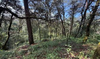 Foto de inmueble en San Simón, Col. San Simón el Alto C.P. 51240, Valle de Bravo