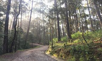 Foto de inmueble en , Col. San Simón el Alto C.P. 51240, Valle de Bravo