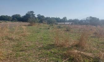 Foto de inmueble en Cam. Viejo a Chimalhuacán 4, Ozumba, 56880 Tepetlixpa, Méx., México, Col. San Vicente Chimalhuacán C.P. 56806, Ozumba