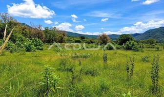 Foto de inmueble en SANTA MAGDALENA TILOXTOC, Col. Santa María Ahuacatlan C.P. 51200, Valle de Bravo