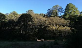 Foto de inmueble en Camino a Los Duraznos #0, Col. Santa María Magdalena Cahuacán C.P. 54430, Nicolás Romero
