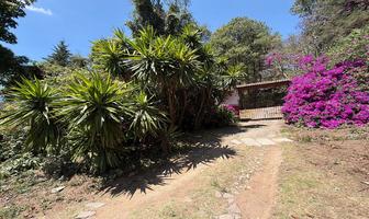 Foto de inmueble en sin nombre, Col. Santa Teresa Tilostoc C.P. 51210, Valle de Bravo