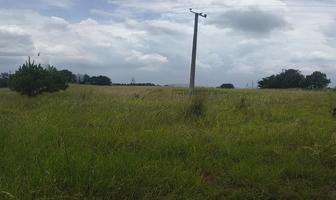 Foto de inmueble en Terreno en Venta 10100 m² Almoloya de Juárez, Col. Santiaguito Tlalcilalcali C.P. 50904, Almoloya de Juárez