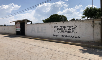 Foto de inmueble en Morelos, Col. Temamatla C.P. 56650, Temamatla