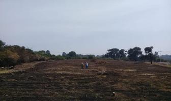 Foto de inmueble en Carretera Federal Chalco Cuautla, km 47.5,, Col. Tepetlixpa C.P. 56880, Tepetlixpa