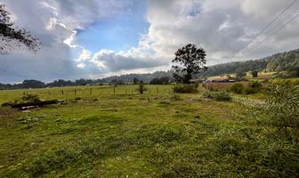 Foto de inmueble en Los Saucos, Col. Valle de Bravo C.P. 51200, Valle de Bravo