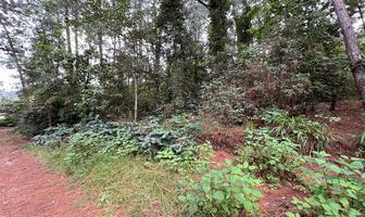 Foto de inmueble en Paraje Mesa de Jaímes, Col. Valle de Bravo C.P. 51200, Valle de Bravo