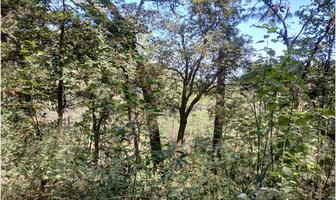 Foto de inmueble en Pinal de marquesado #SnInt. Sn, Col. Valle de Bravo C.P. 51200, Valle de Bravo
