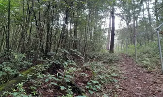 Foto de inmueble en VEGA DEL RIO #800, Col. Valle de Bravo C.P. 51200, Valle de Bravo