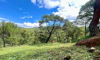 Foto de inmueble en https://www.google.com.mx/maps/@19.207925,-100.1265829,235m/data=!3m1!1e3?entry=ttu, Col. Valle de Bravo C.P. 51200, Valle de Bravo